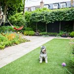 Ideas to Make Your Garden Dog Friendly