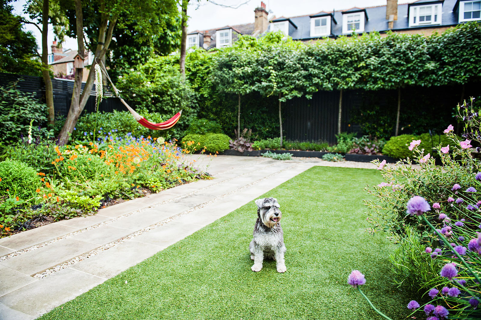 Ideas to Make Your Garden Dog Friendly