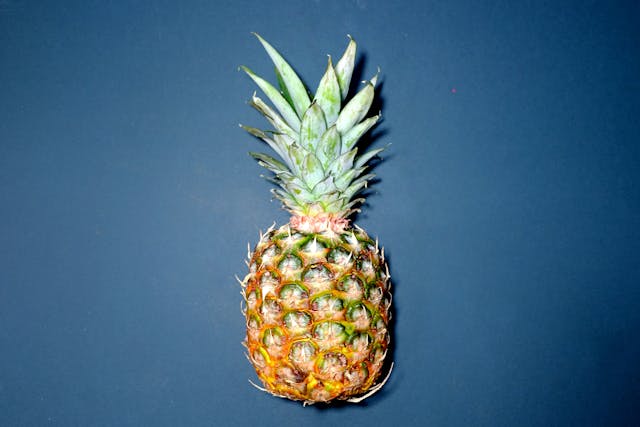 Growing Coffee Plants and Pineapple Trees: A Guide to Tropical Gardening